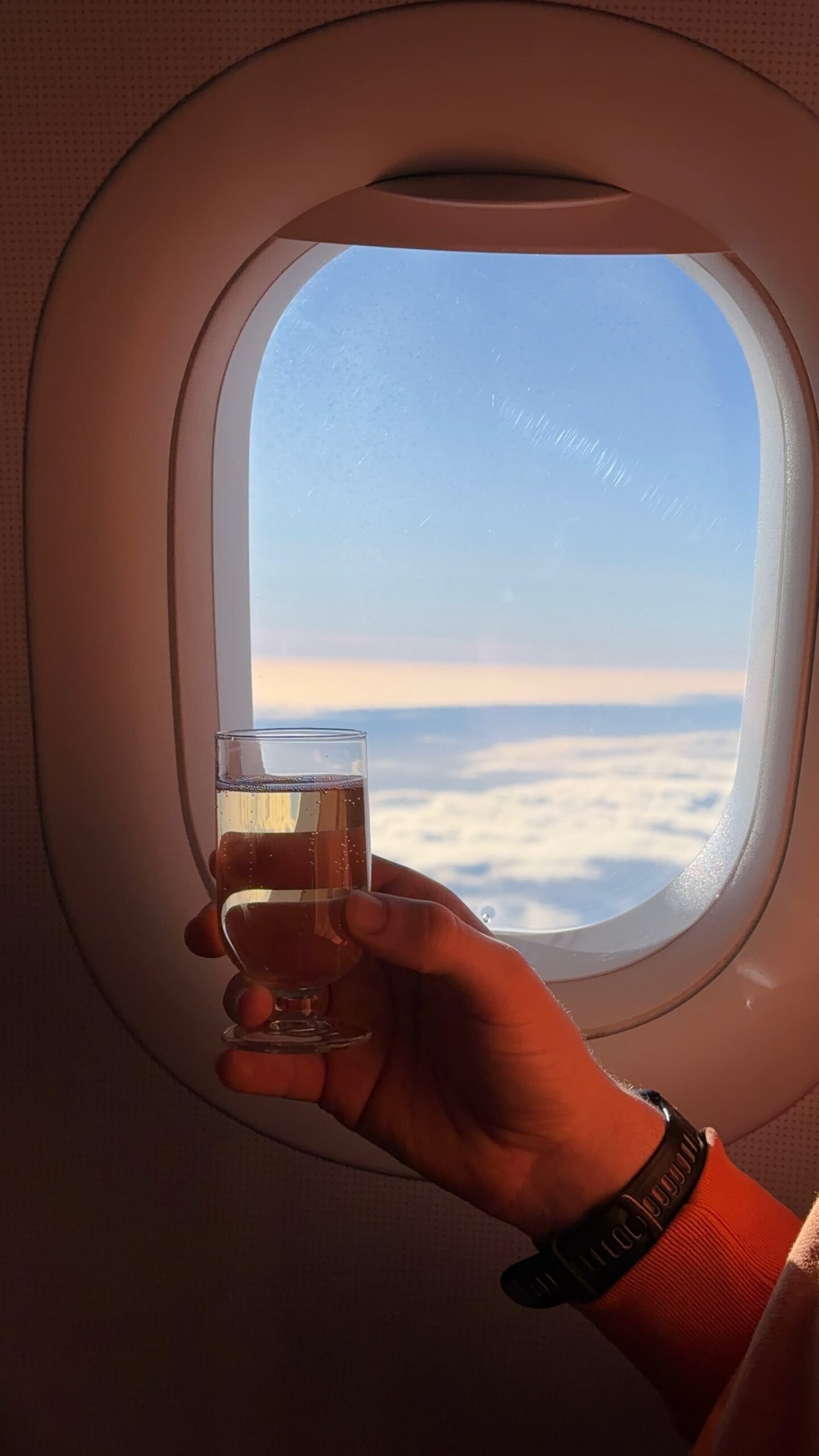 British Airways Club Europe Review Airbus A320 London Heathrow to Geneva (LHR to GVA)